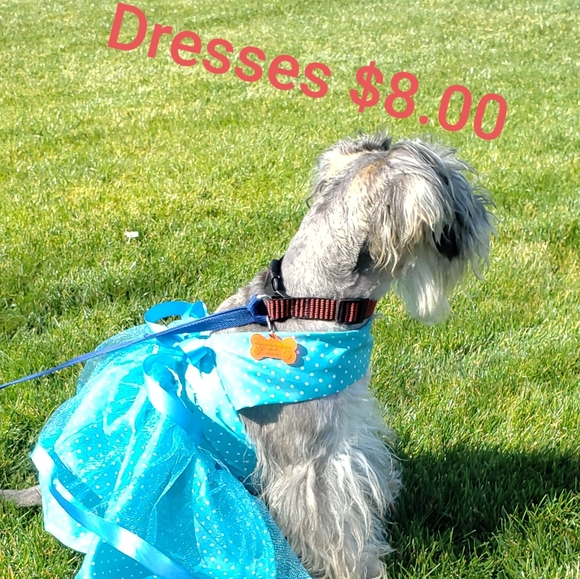 Meet your Posher, Patty - Picture 4 of 4